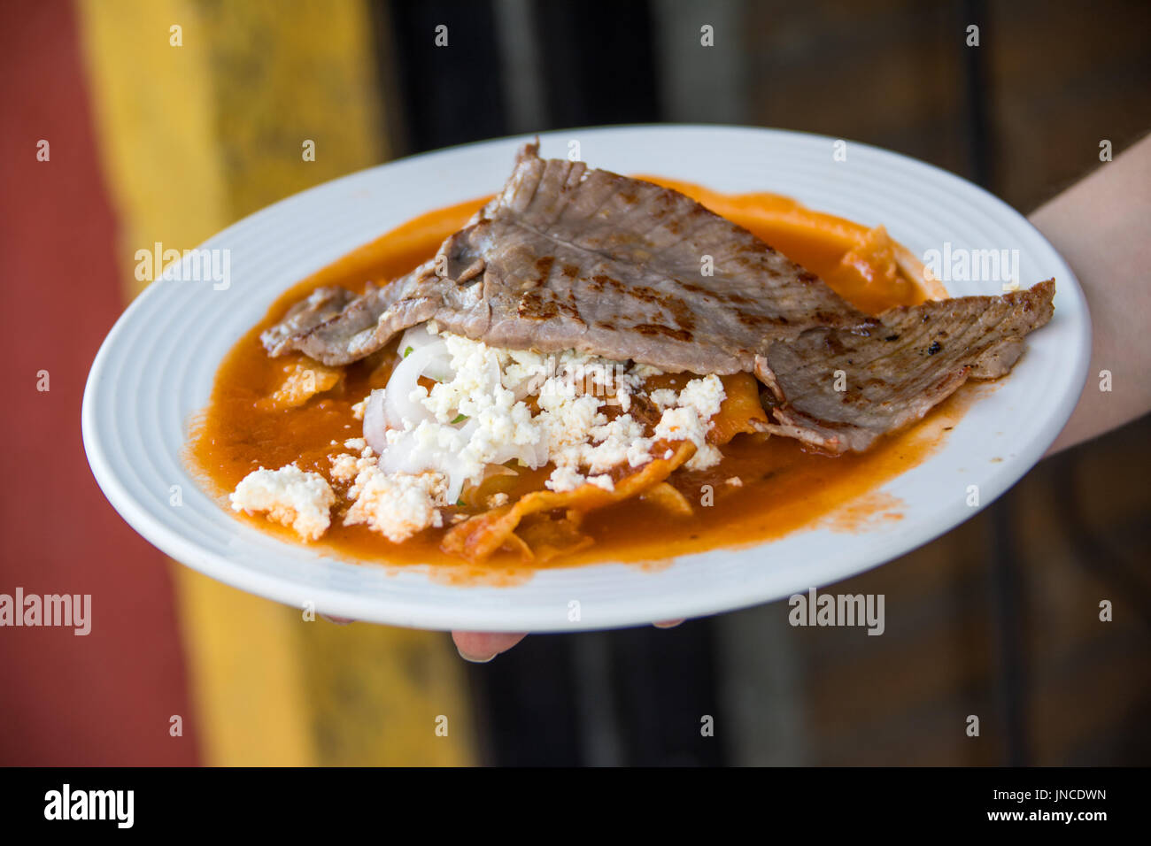 Frühstück Chilaquiles am Monte Alban Museum Cafe, berühmt unter den Einheimischen, Oaxaca, Mexiko Stockfoto