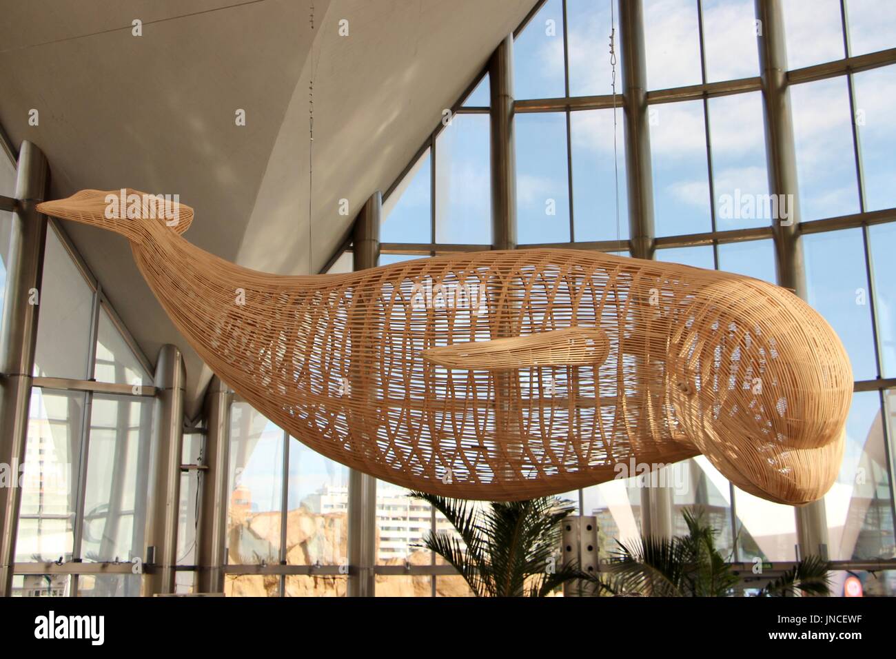 Beluga-Wal-Modell im Oceanogràfic in Valencia, Spanien Stockfoto