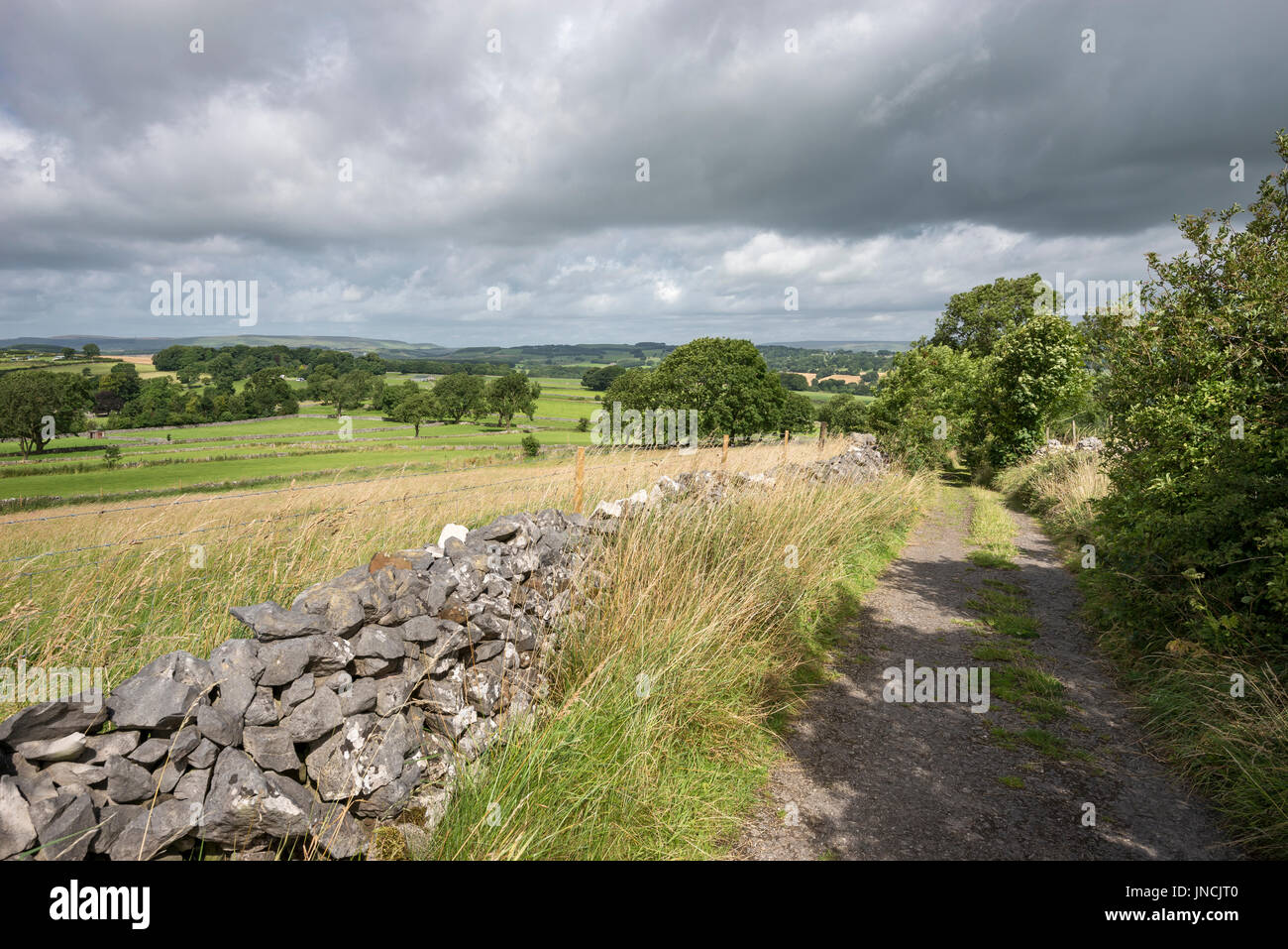 Schönen Sommertag in der englischen Landschaft. Eine ruhige Landstraße in der Nähe von Buxton im Peak District, Derbyshire. Stockfoto