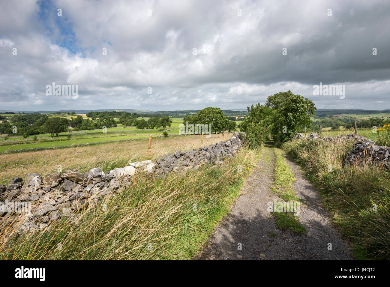 Schönen Sommertag in der englischen Landschaft. Eine ruhige Landstraße in der Nähe von Buxton im Peak District, Derbyshire. Stockfoto