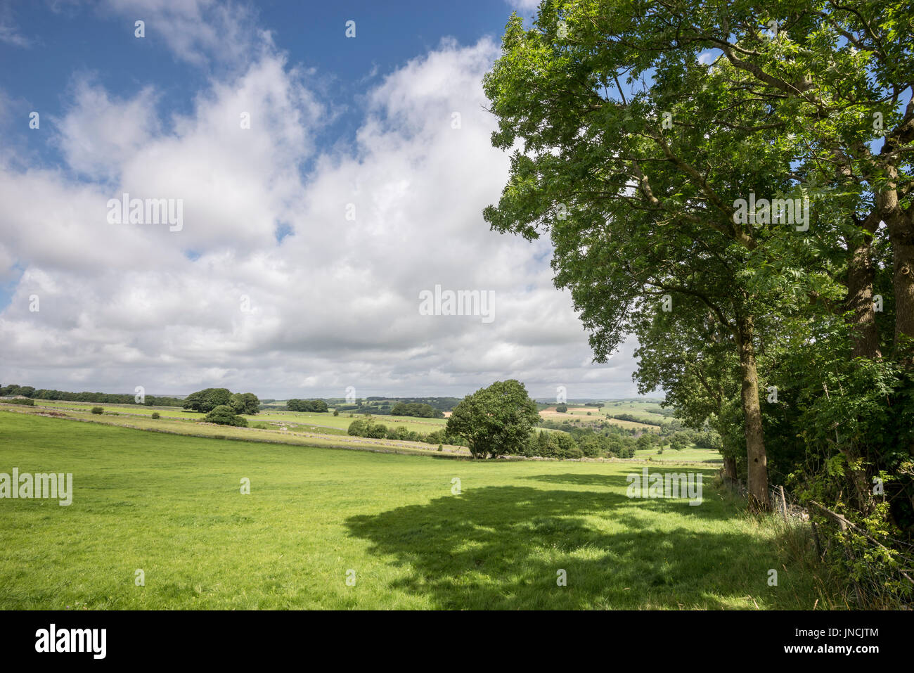 Sommertag in der englischen Landschaft Stockfoto