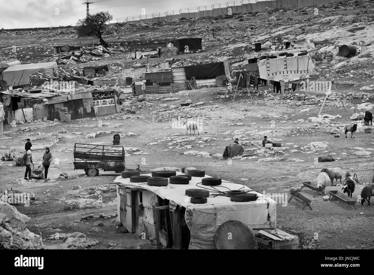 Palästinensischen Beduinen Stamm, Dorf, östlich von Jerusalem, West Bank, 10. Dezember 2010. Beduinen nomadischen Lebensstil unterstützen, leben in Zelten und Ziegen züchten. Stockfoto