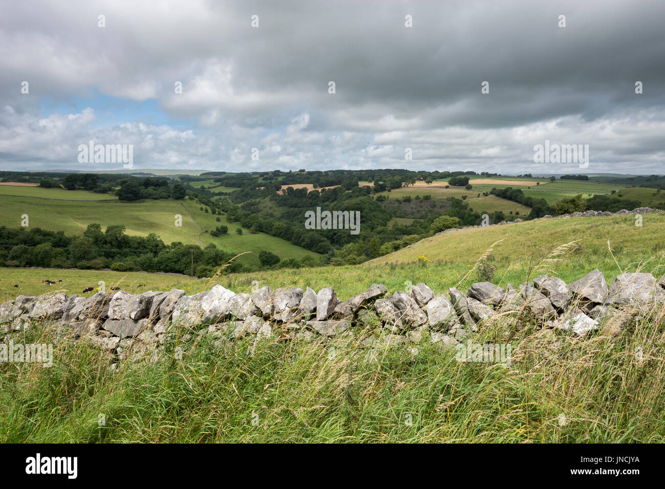 Blick über eine Trockensteinmauer im White Peak, Buxton, Derbyshire, England. Stockfoto
