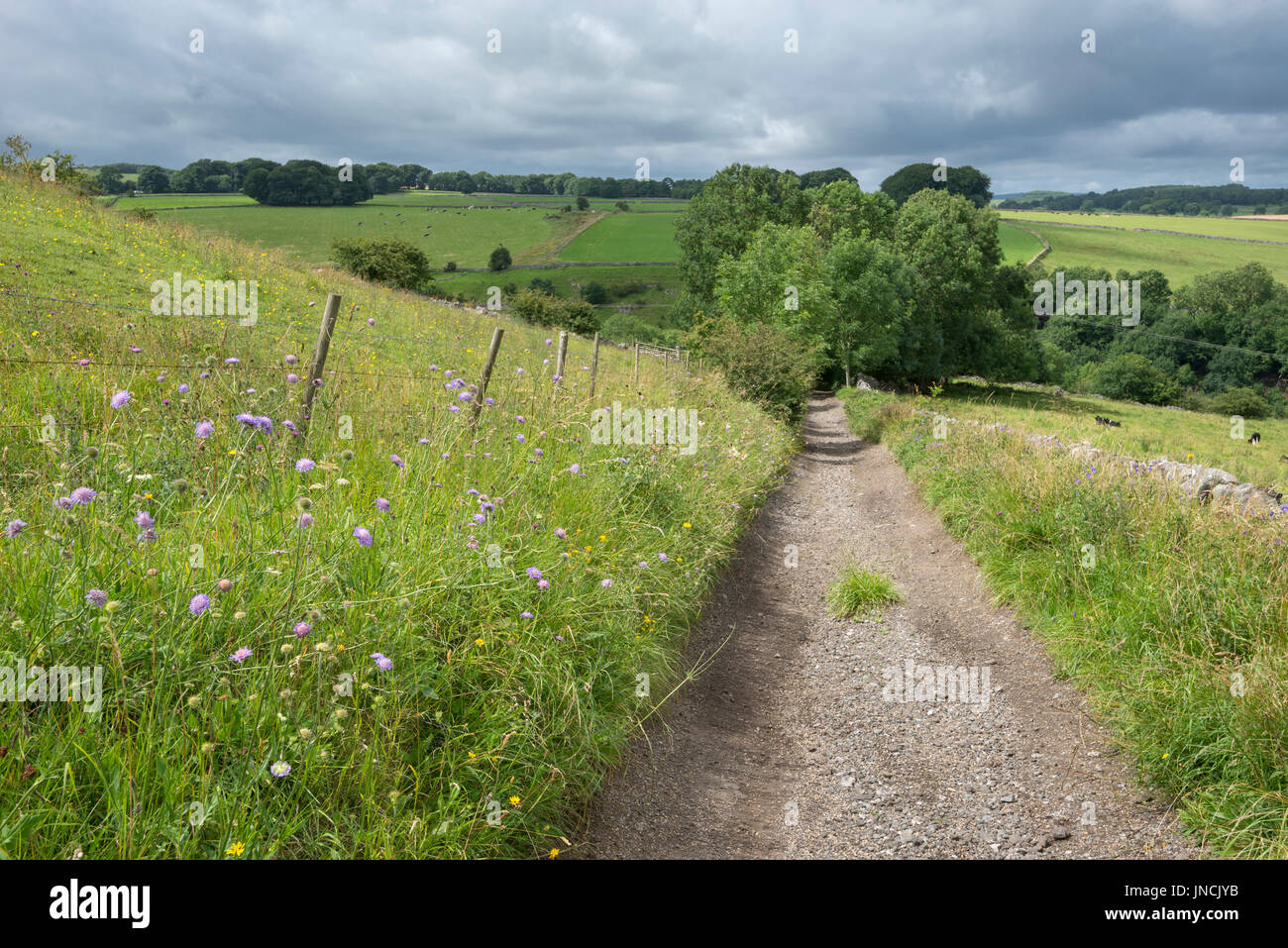 Englischen Country Lane im Peak District, Derbyshire, England. Stockfoto