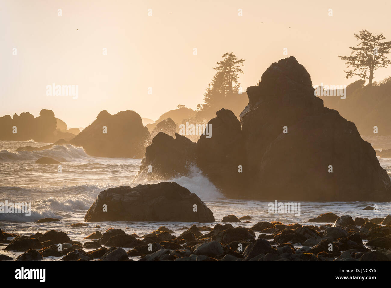Surf und Felsen in Pebble Beach, Crescent City, Kalifornien. Stockfoto