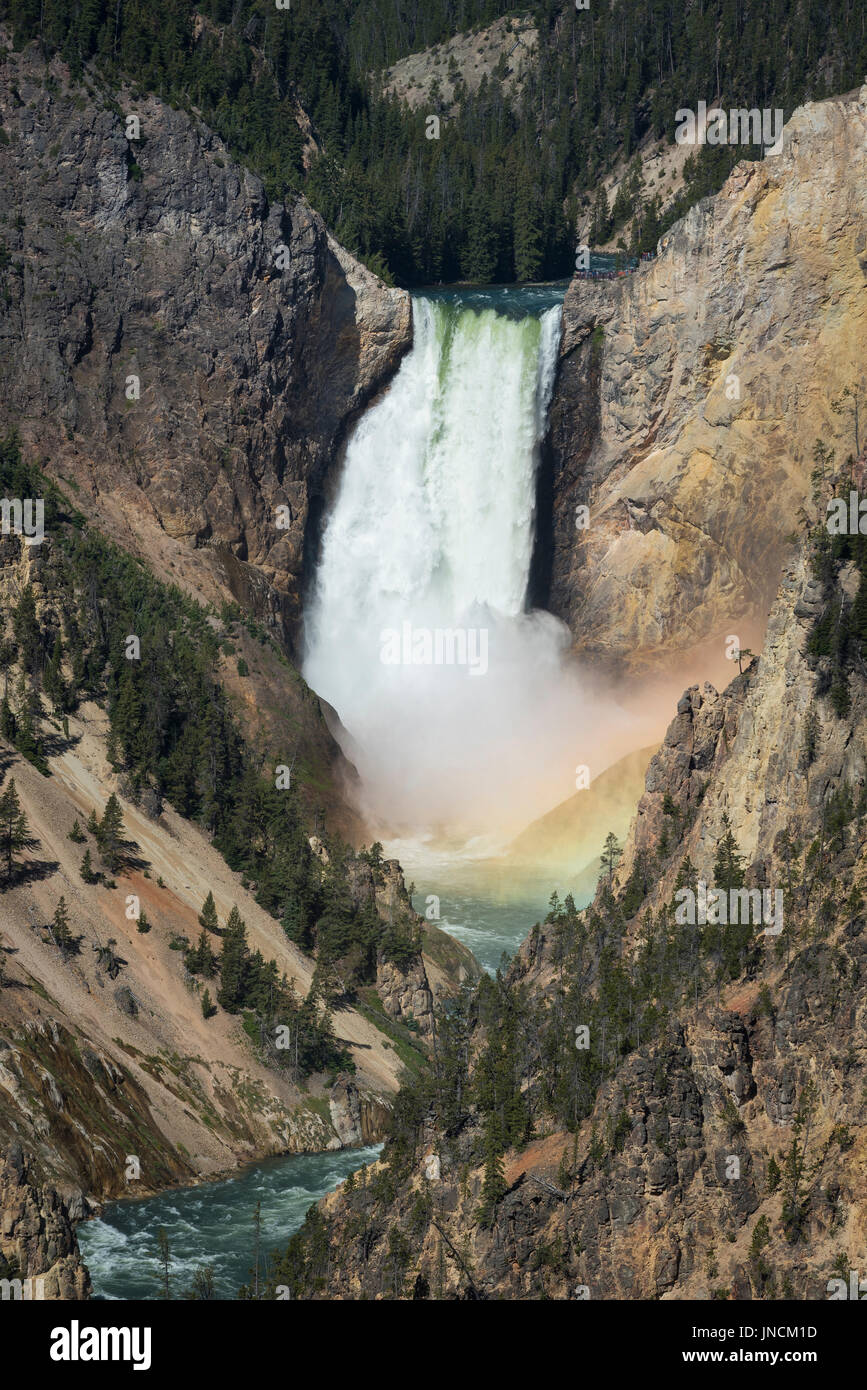 Lower Falls des Yellowstone River, mit Regenbogen am Fuß des Wasserfalls, von Künstlern Punkt, Yellowstone-Nationalpark, Wyoming. Stockfoto