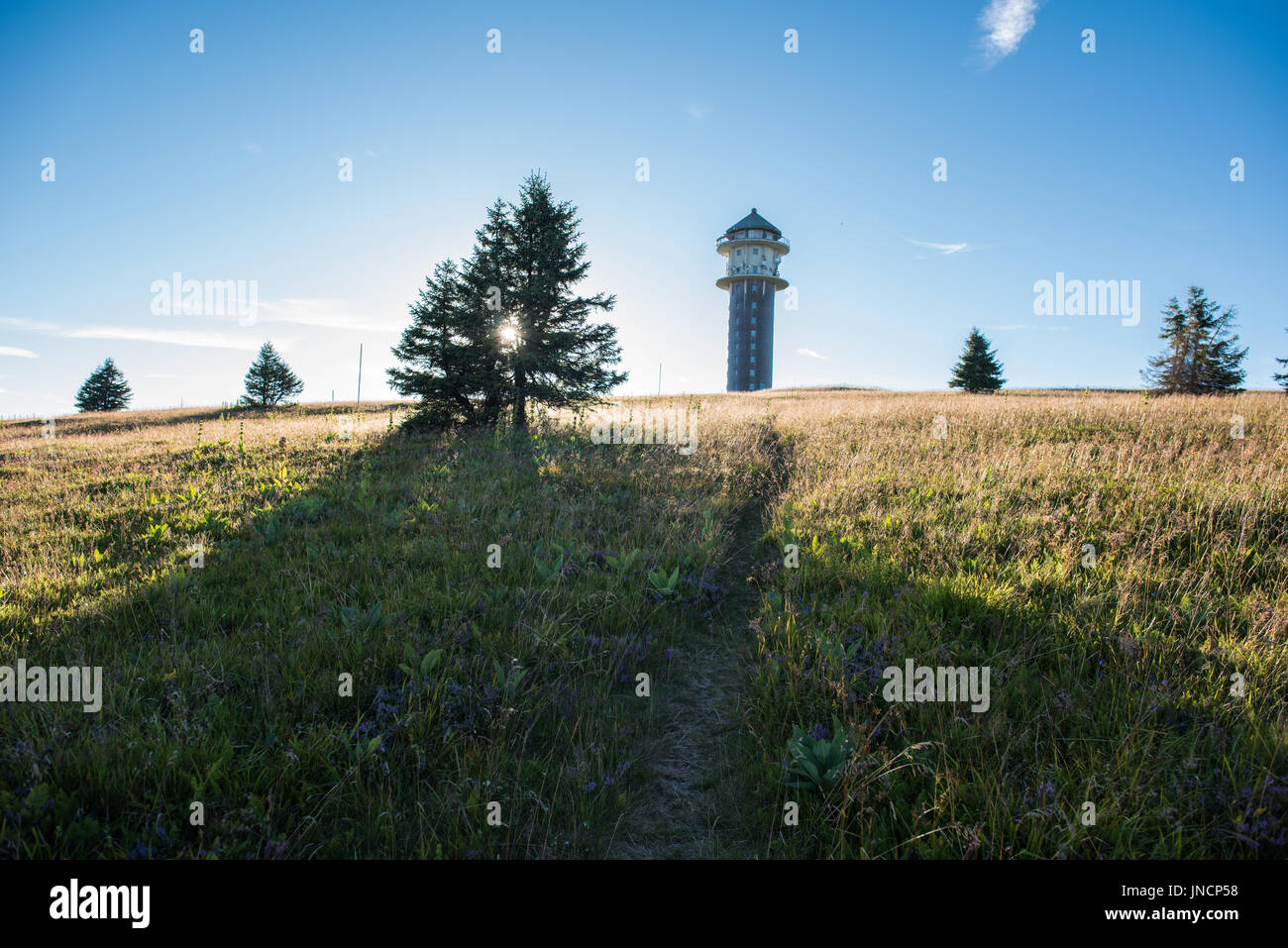 Feldbergturm Schwarzwald Deutschland Stockfoto