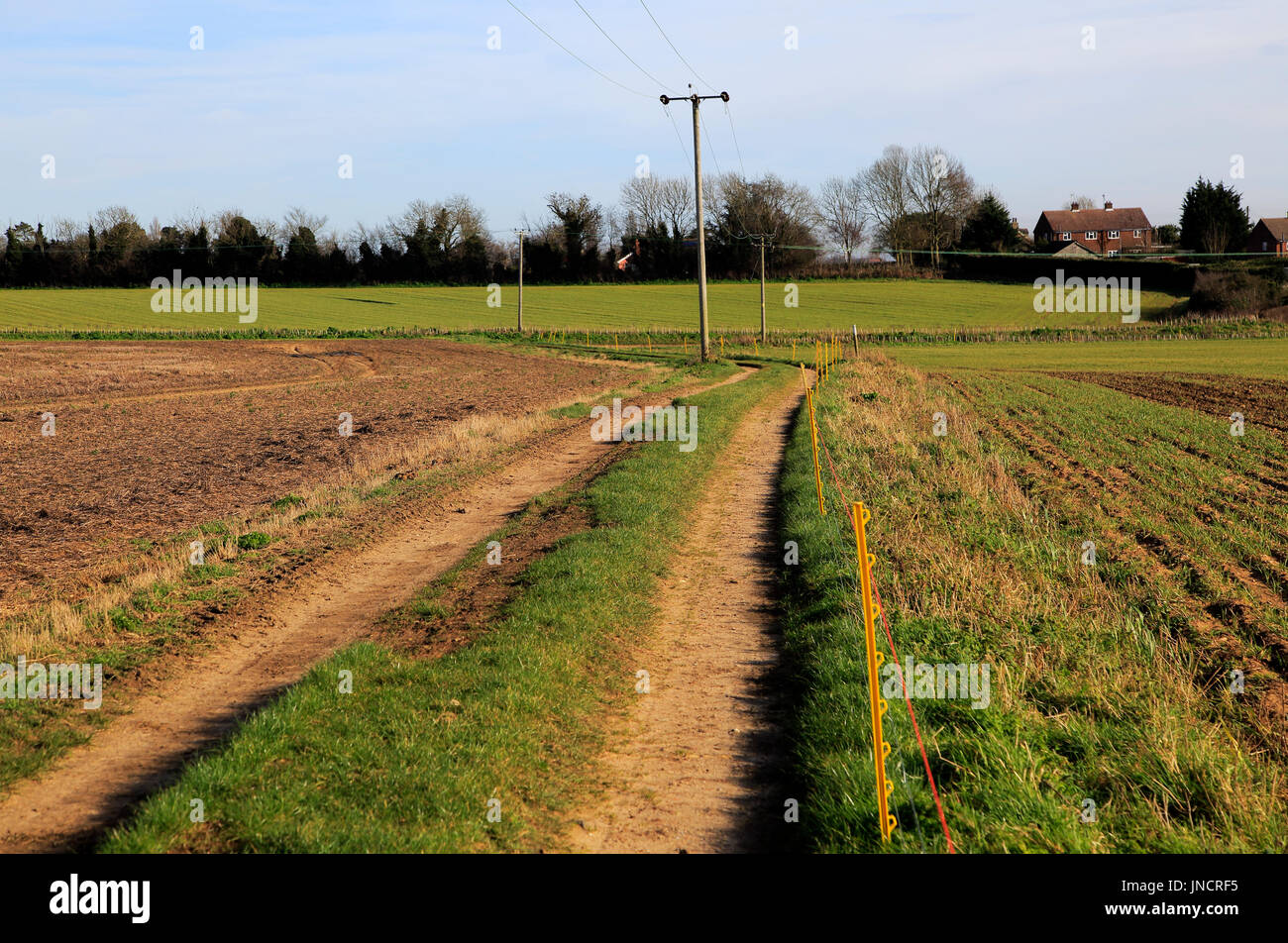 Telegrafenmasten mit Strom Strom, Kabel und Weg durch Felder Alderton, Suffolk, England, UK Stockfoto