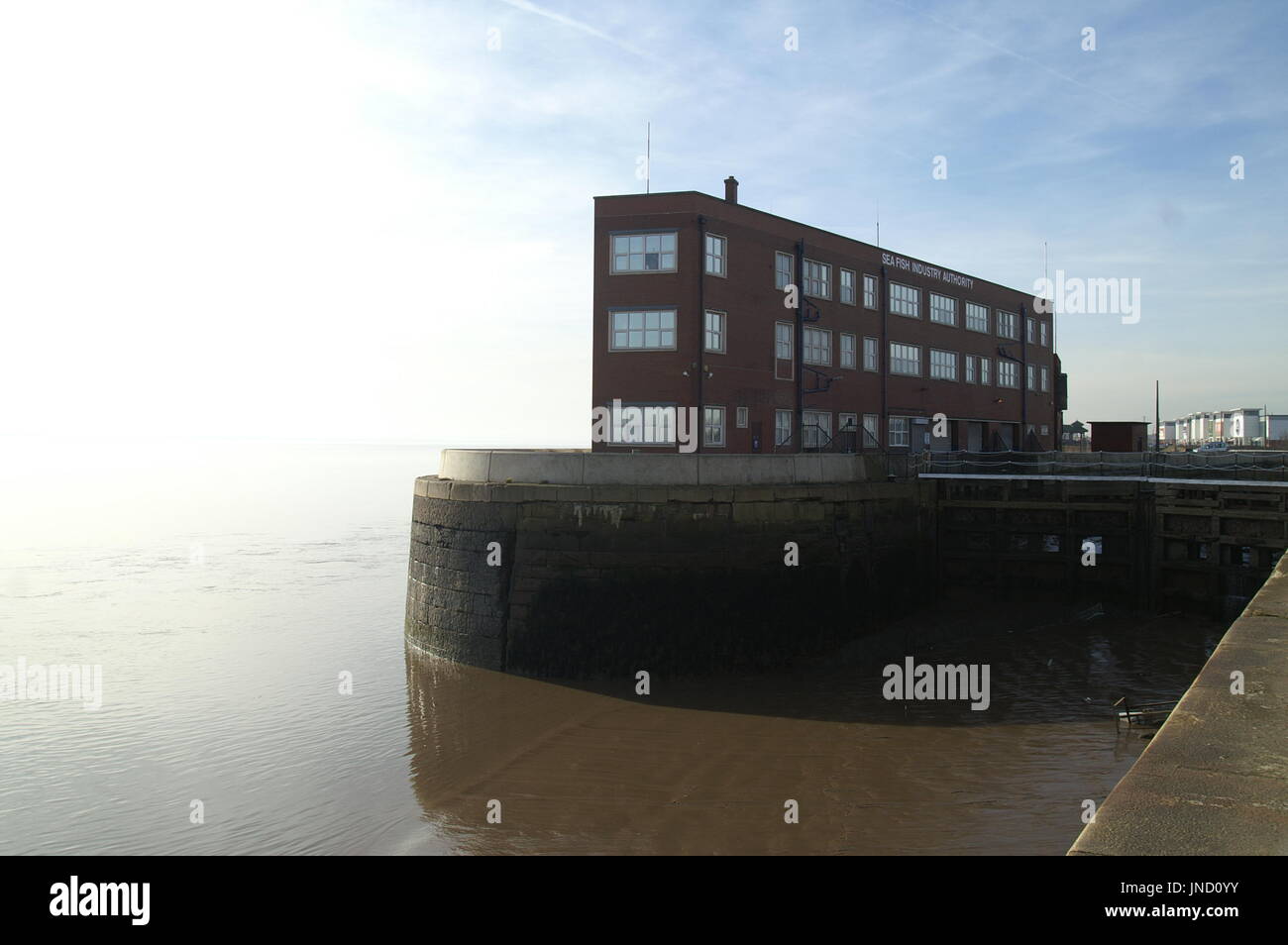 Rumpf Fischwirtschaft, verfallene Gebäude, St Andrew's Dock, Kingston upon Hull Stockfoto