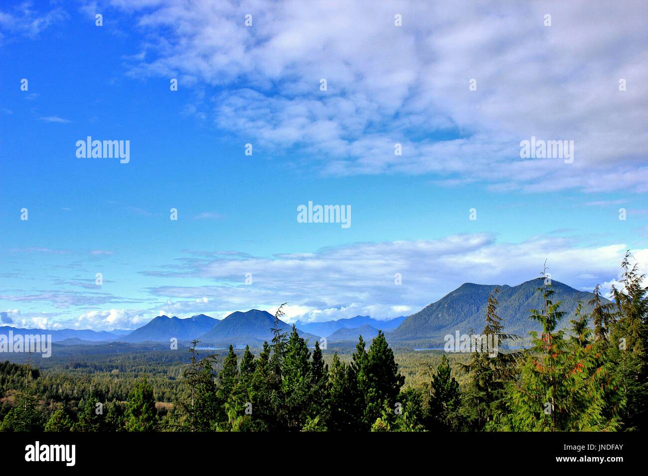 Blick über den Clayoquot Sound vom Radar Hill in der Nähe von Tofino auf Vancouver Island, British Columbia. Stockfoto