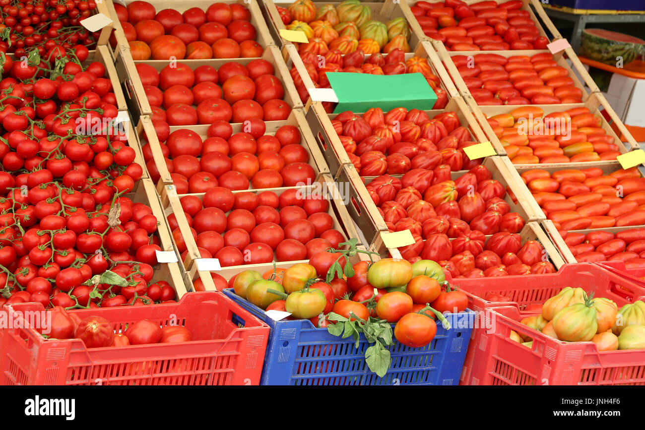 Viele Reife rote Tomate in den Feldern auf Verkauf im Supermarkt im Sommer in einem Land am Mittelmeer Stockfoto