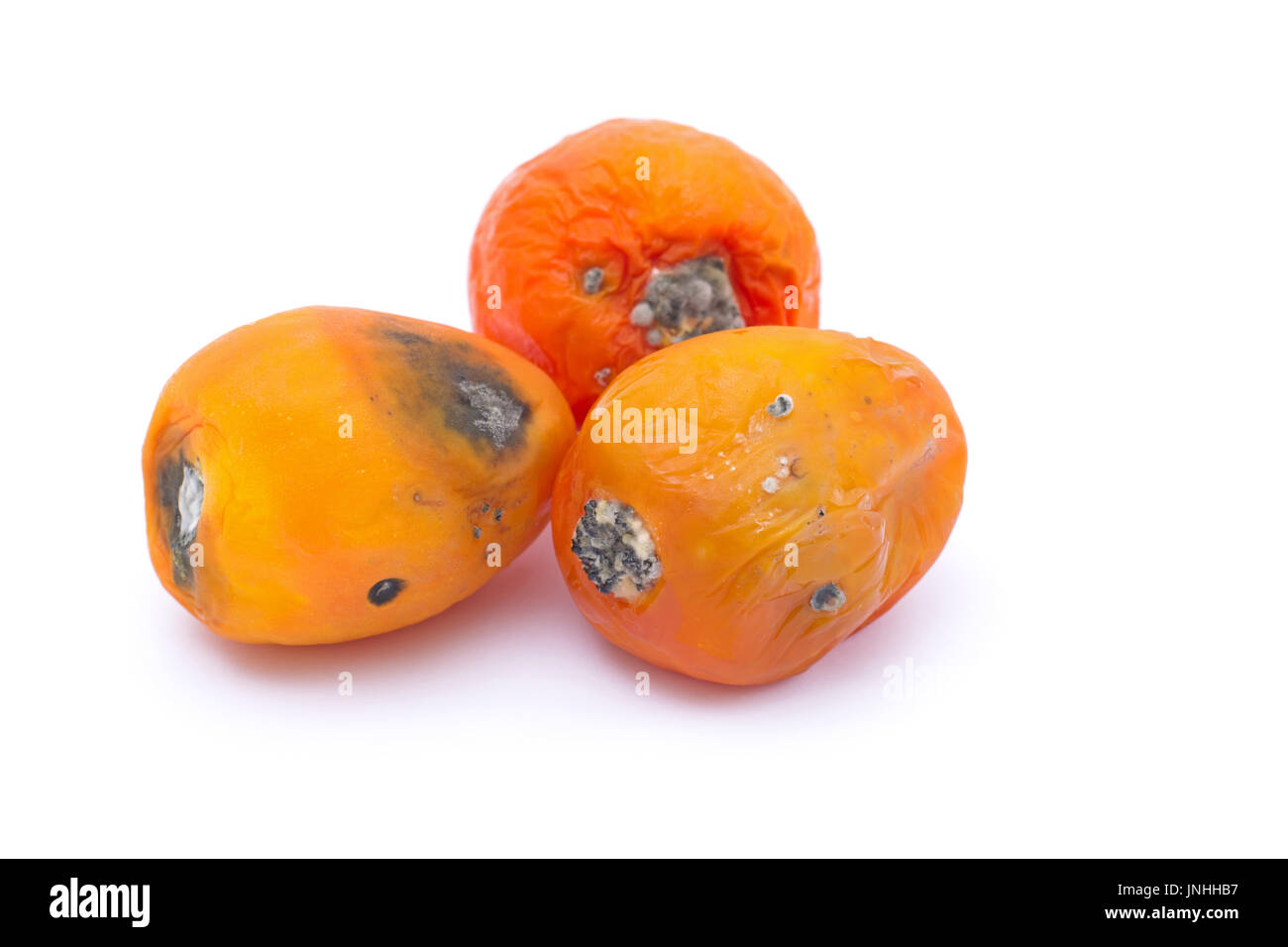 Faule Tomaten isoliert auf weißem Hintergrund Stockfoto