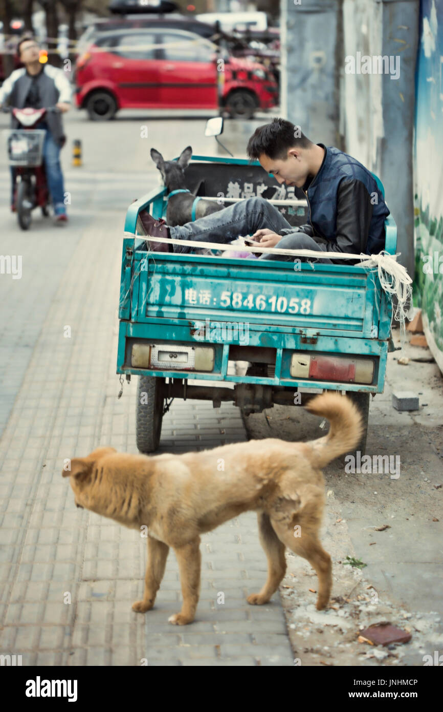 Chinesischer Mann im Motor Trailer seine mobile Kontrolle in einer ruhigen Straße, seinen Hund beobachtet die Umgebung. Beijing, China Stockfoto