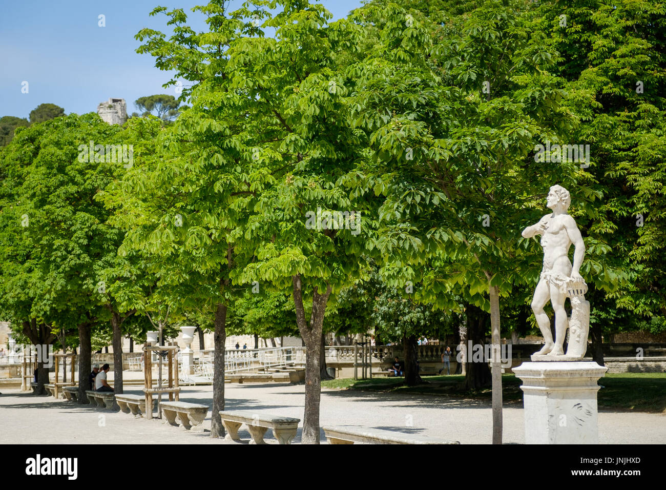Jardin De La Fontaine, Nimes, Frankreich Stockfoto