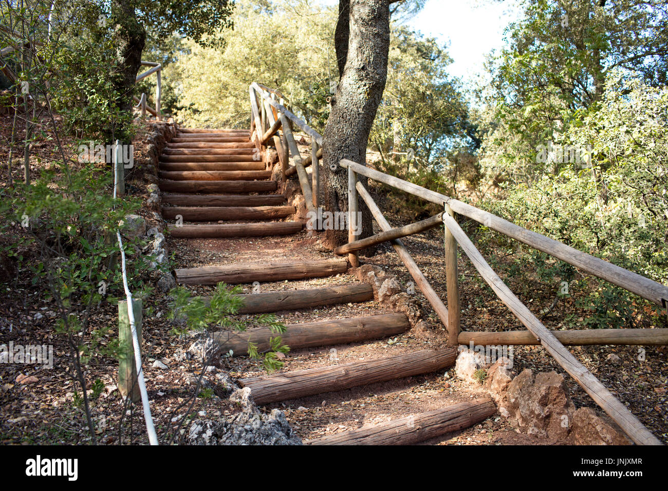 Treppe mit Baumstämmen, im Naturpark Font Roja. Alcoi, Alicante, Spanien Stockfoto