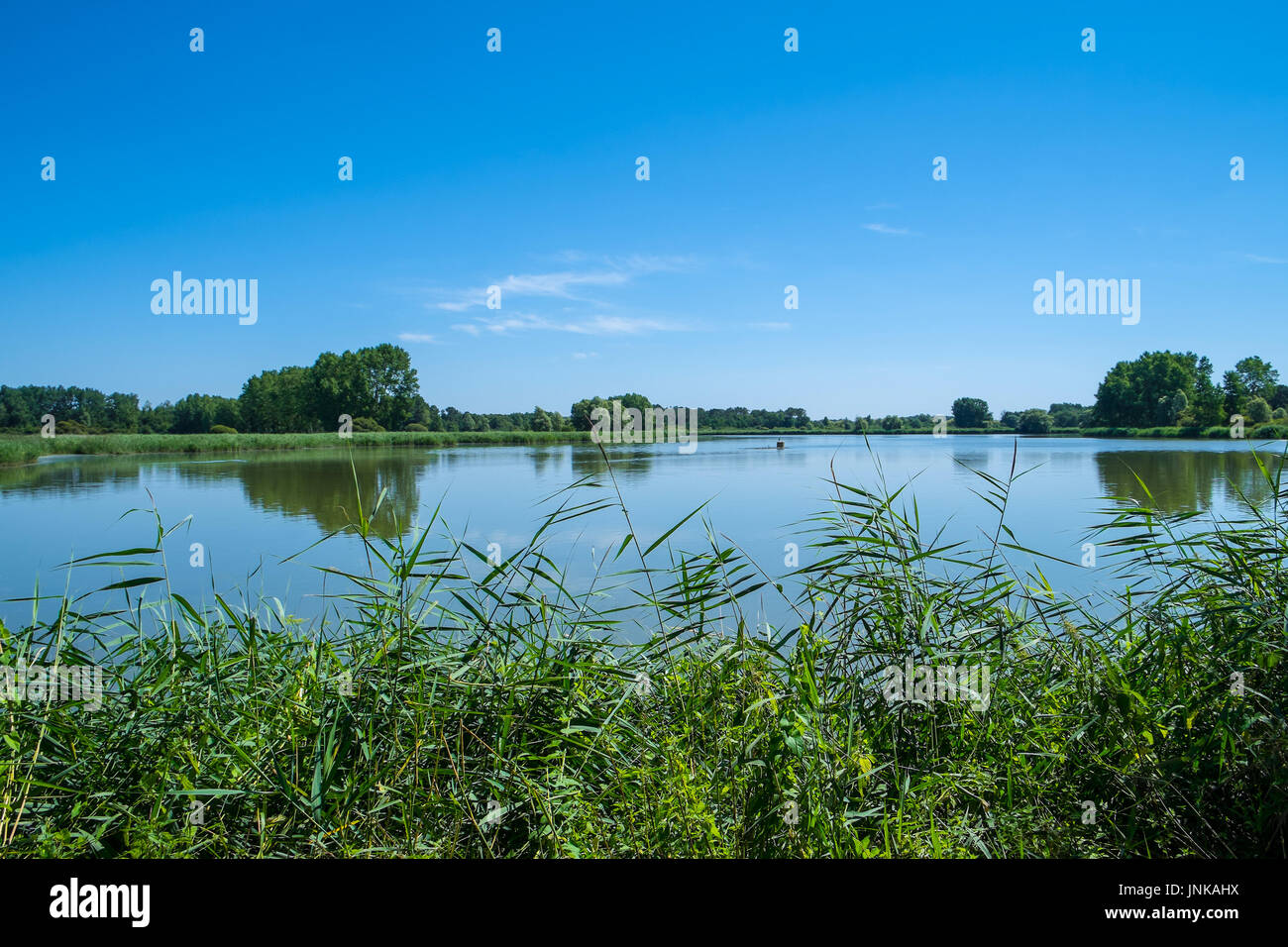 Man-made Fischteich, Brenne, Indre, Frankreich. Stockfoto