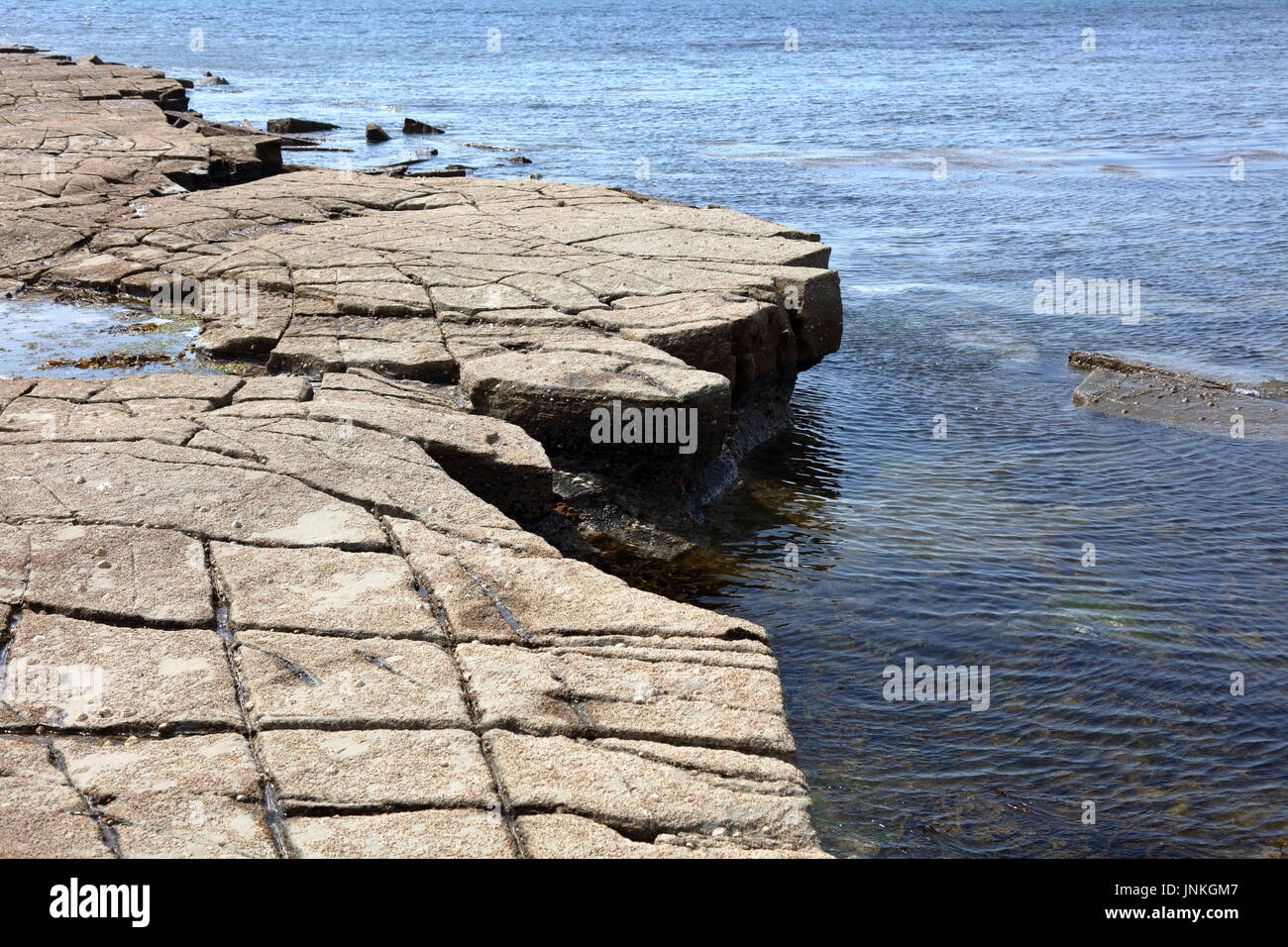 Große untergraben Kalkstein Platten bei niedrigen Wasser weg von der gelben Leiste, kuscheln, in der Nähe von Kimmeridge Stockfoto