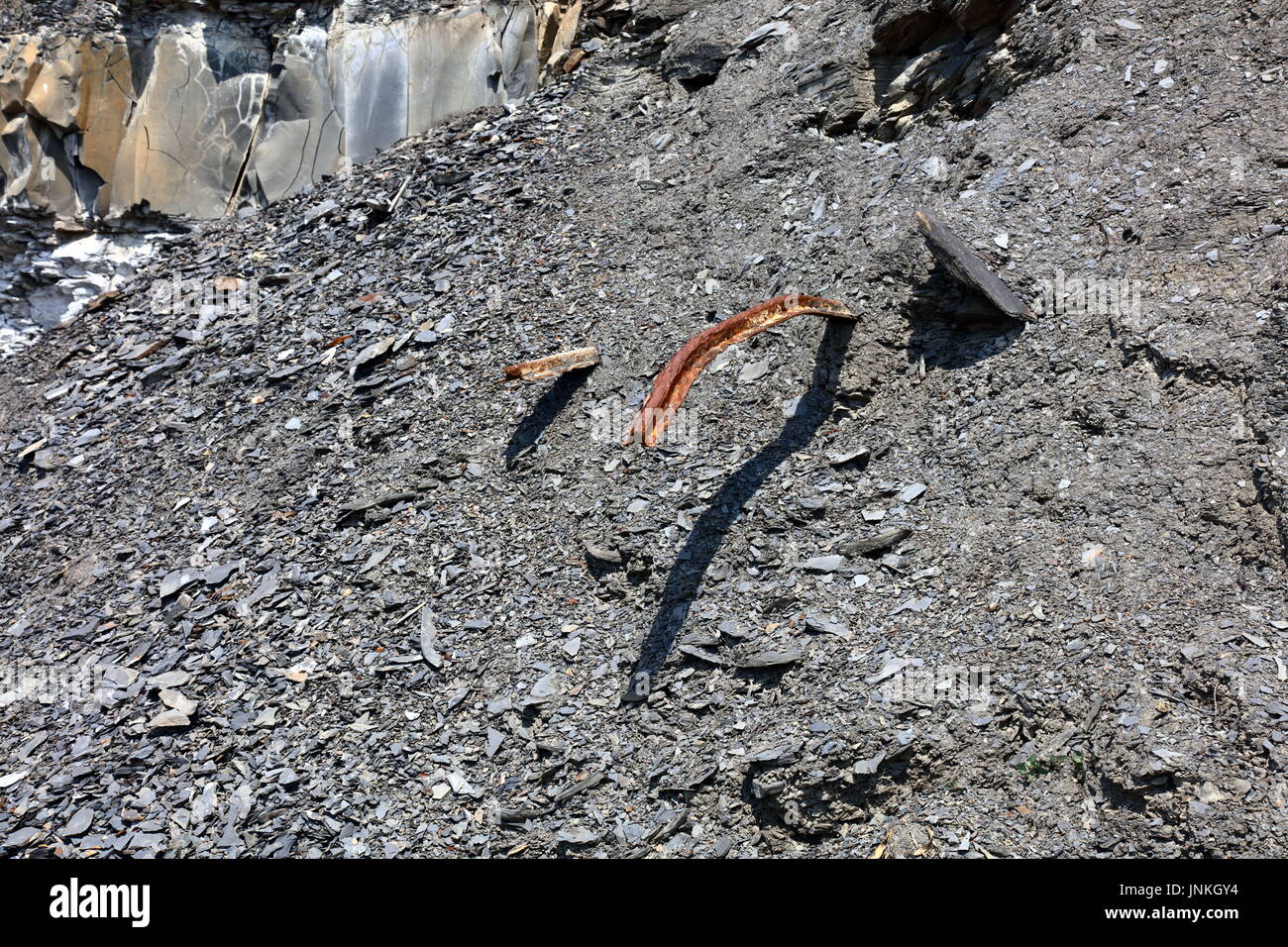 Verfallenes Straßenbahnschienen bleibt aus Ölschiefer Bergbau Zeitraum eingebettet in zerbröckelt Schiefer aus den oberen Klippe, Clavell ist hart, Kimmeridge, Dorset UK Stockfoto