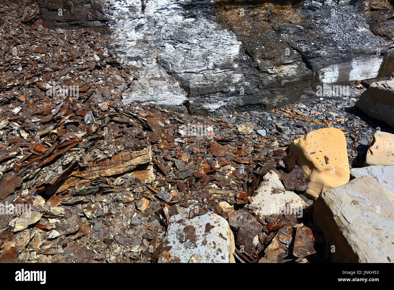 Mineral Öl gebeizt Lager Schiefer weg von instabilen Felswand neben Kimmeridge Simsen, Dorset UK bröckelnden Stockfoto