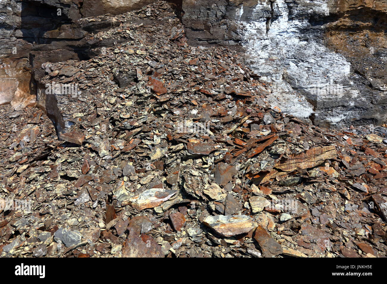 Mineral Öl gebeizt Lager Schiefer weg von instabilen Felswand neben Kimmeridge Simsen, Dorset UK bröckelnden Stockfoto