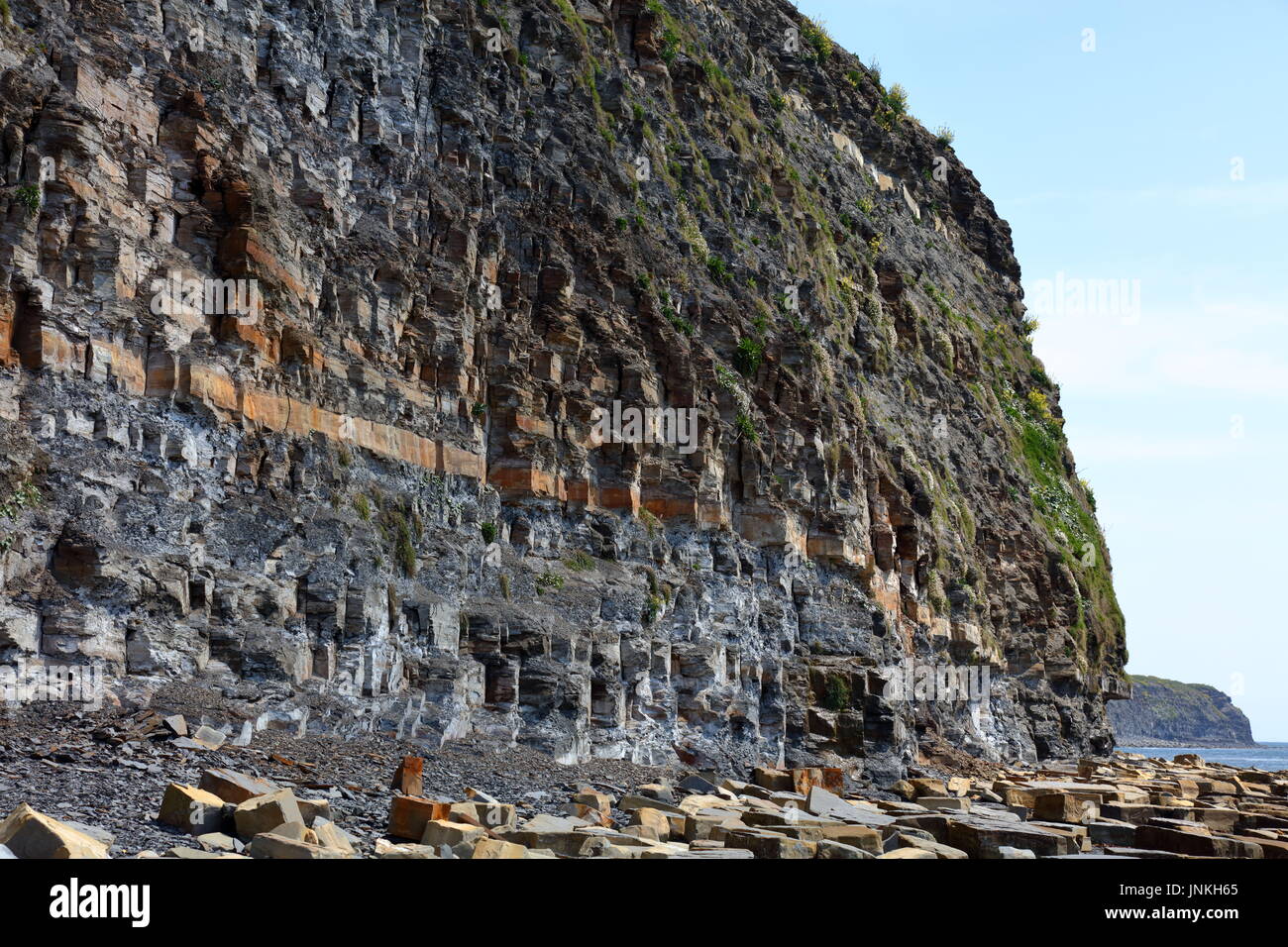 Öl Lager schiefer Felswand der Jurassic Coast und Küstenlinie mit massiven gefallen Kalkstein Blocks östlich von Kimmeridge Bay, Dorset UK gestreut Stockfoto