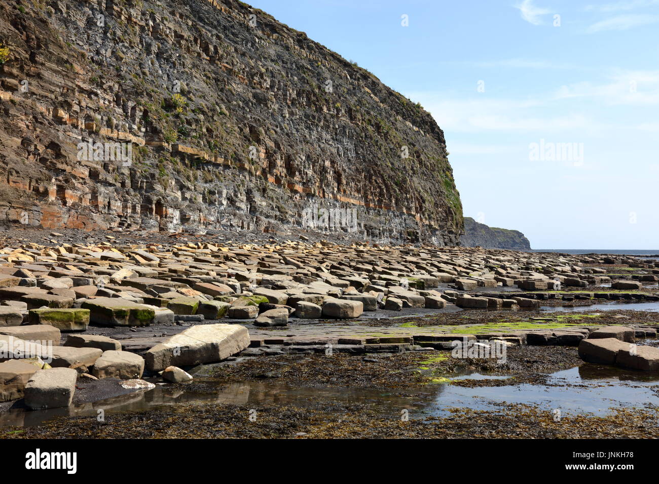 Öl Lager schiefer Felswand der Jurassic Coast und Küstenlinie mit massiven gefallen Kalkstein Blocks östlich von Kimmeridge Bay, Dorset UK gestreut Stockfoto