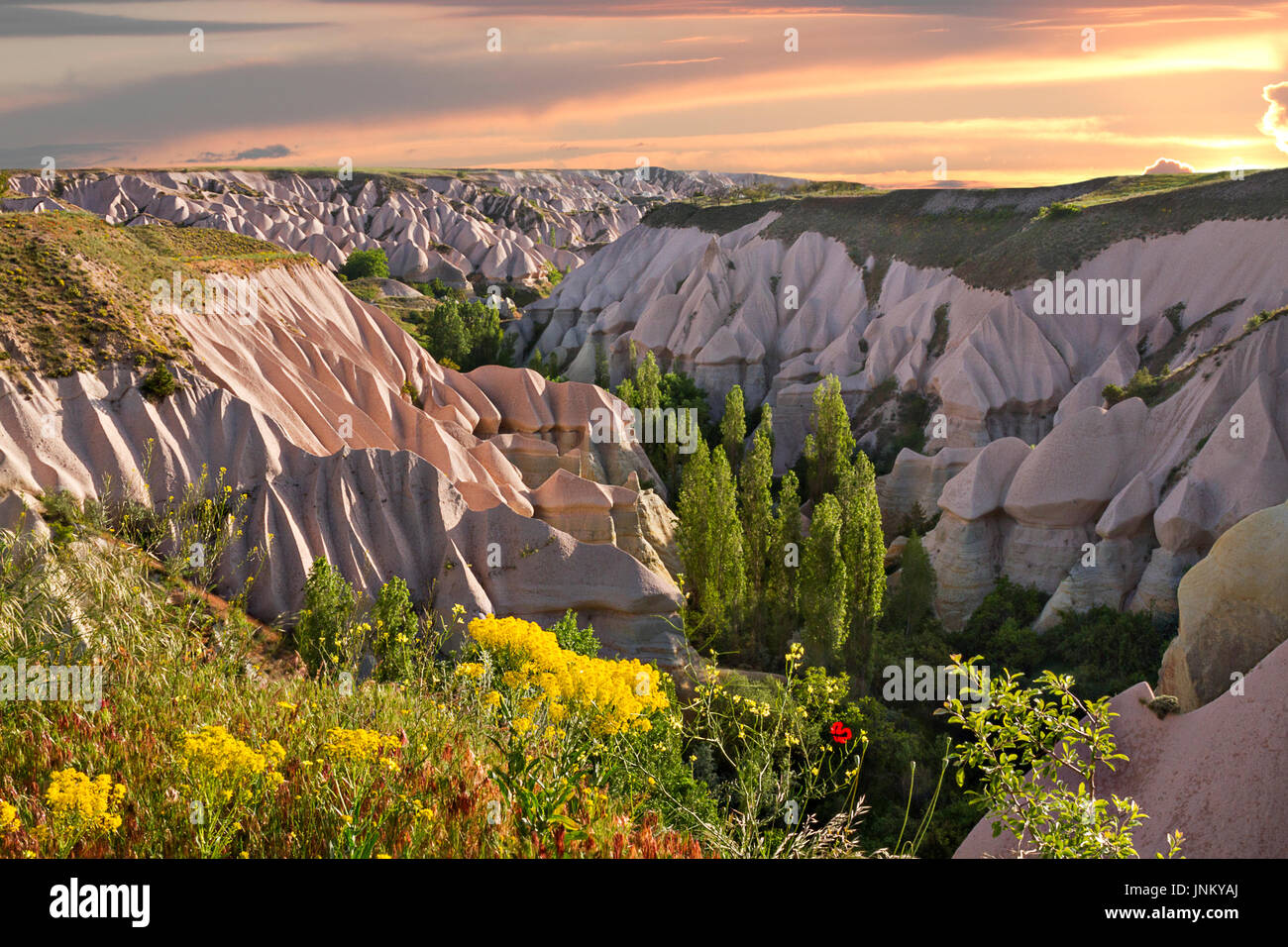 Blick über das Tal voller Vulkanasche Formationen bekannt, bei Sonnenaufgang, Kappadokien, Türkei. Stockfoto
