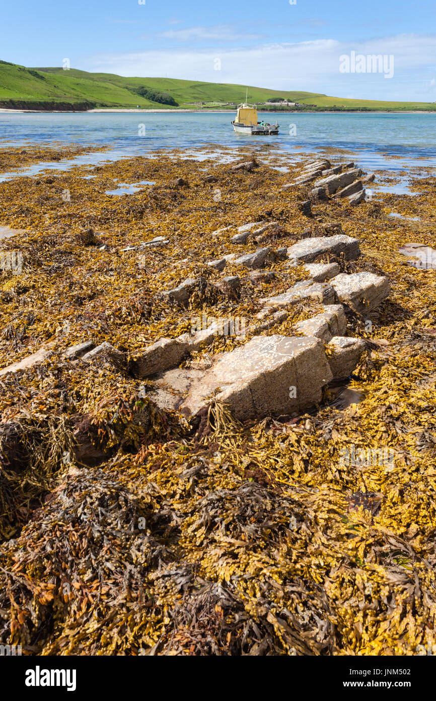 Seashore in Hoy Island, Orkney, bei Ebbe. Großbritannien Stockfoto