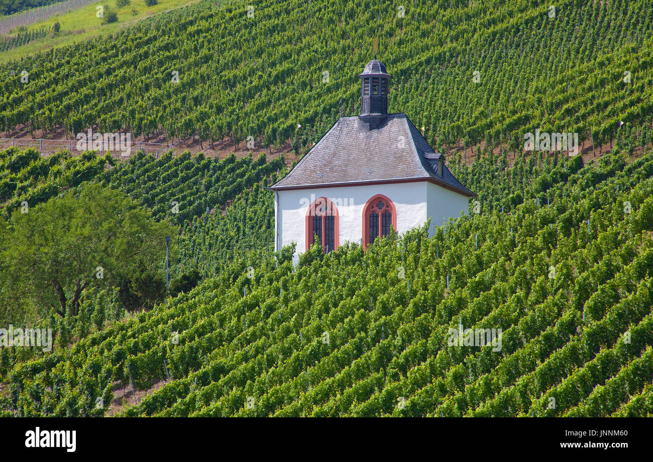 Kesselstattkapelle in Den Weinbergen Bei Kinheim, Mittelmosel, Rheinland-Pfalz, Landkreis Bernkastel-Wittlich, Deutschland, Europa | Kesselstatt Ortblech Stockfoto