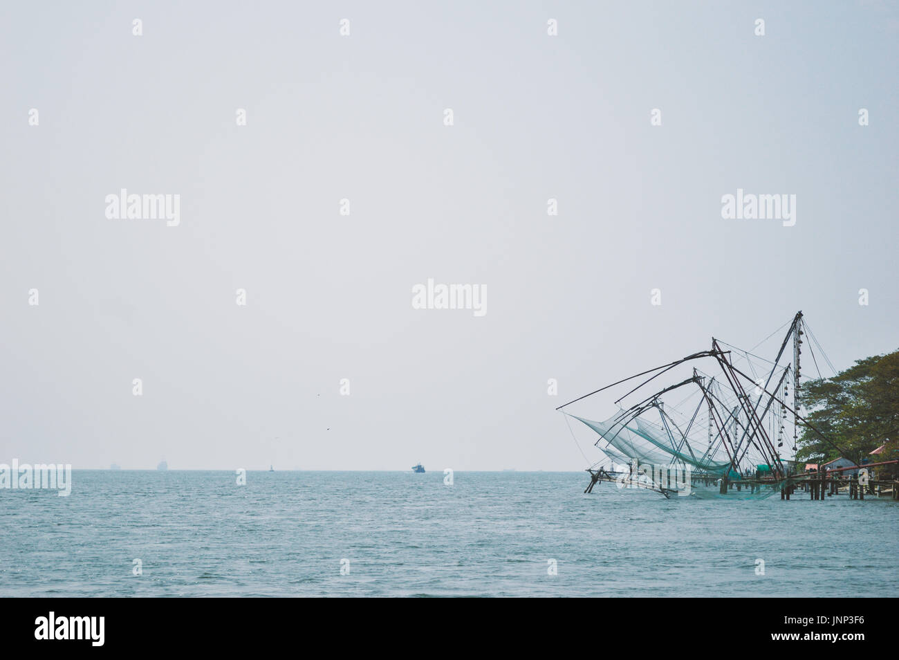 Green - A Mind Erwärmung Klick von Cochin Backwaters zu leben. Stockfoto