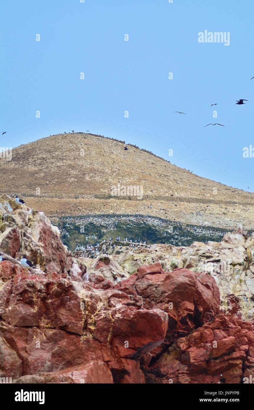 Die Natur entdecken Stockfoto