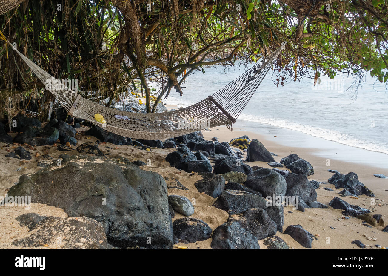 Eine Hängematte hängt an einem Baum am Ufer in Kahana auf Maui, Hawaii. Stockfoto