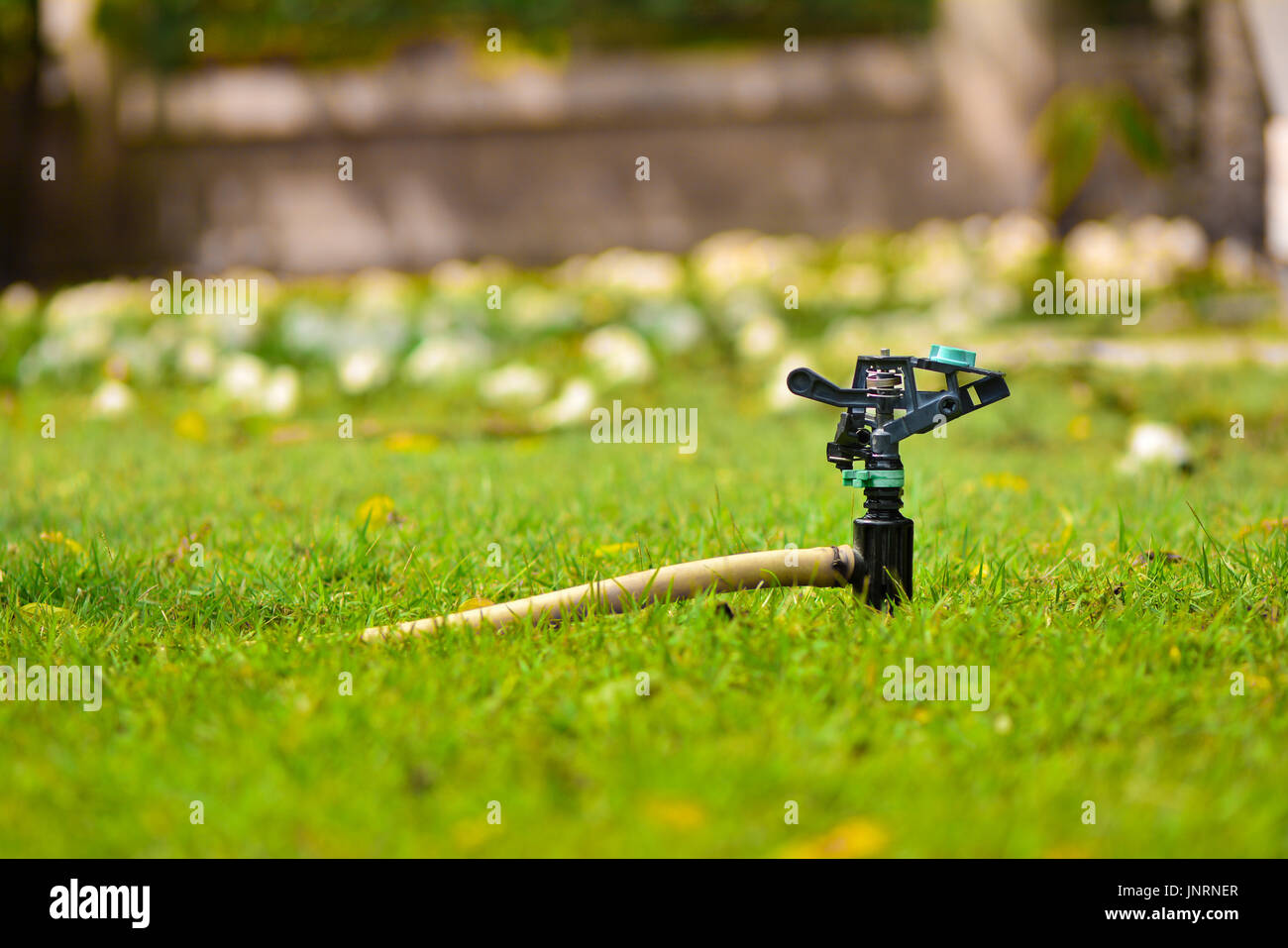 Eine Sprinkleranlage auf der grünen Wiese Stockfoto