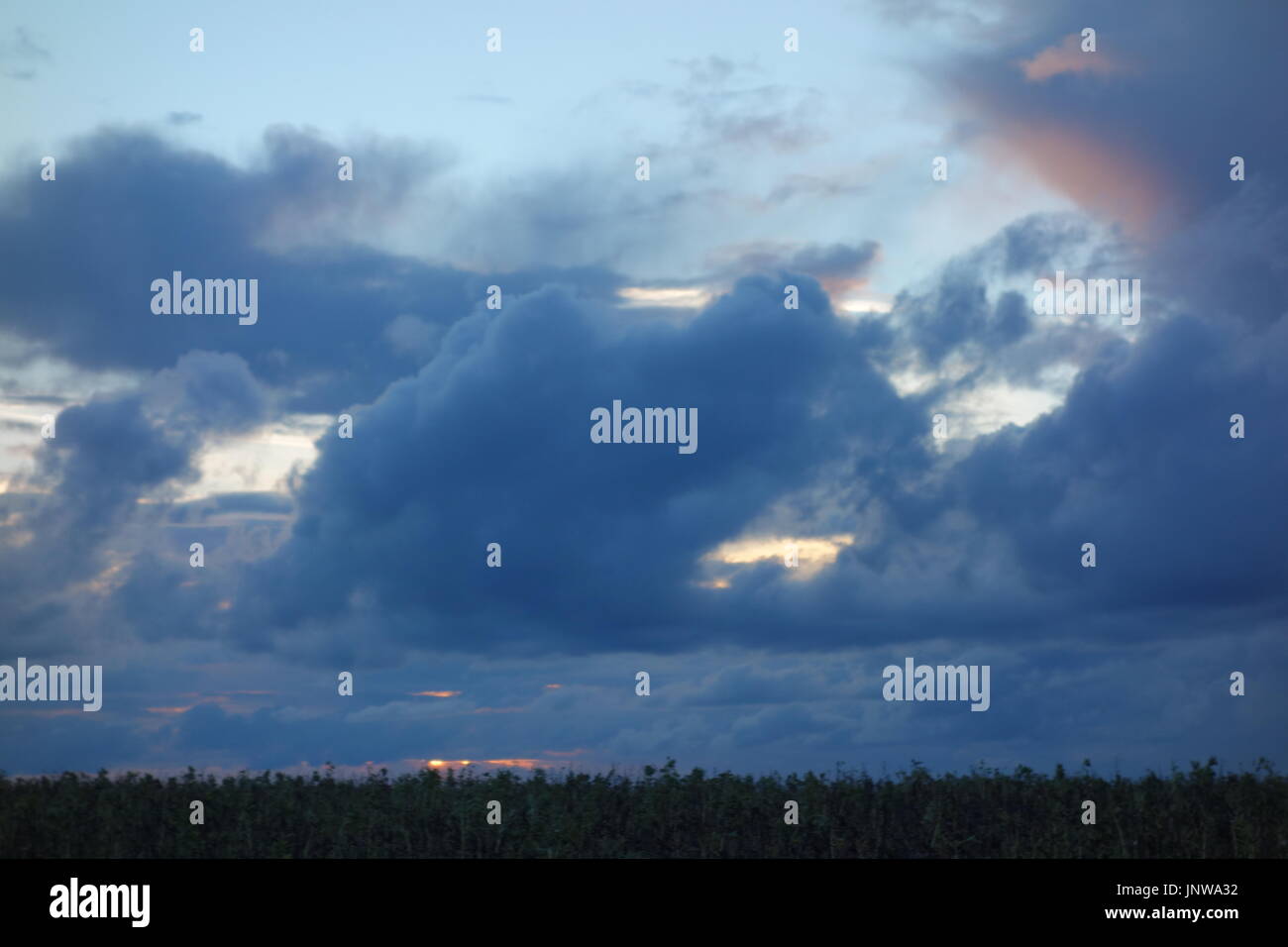 Spaziergänge Stockfoto