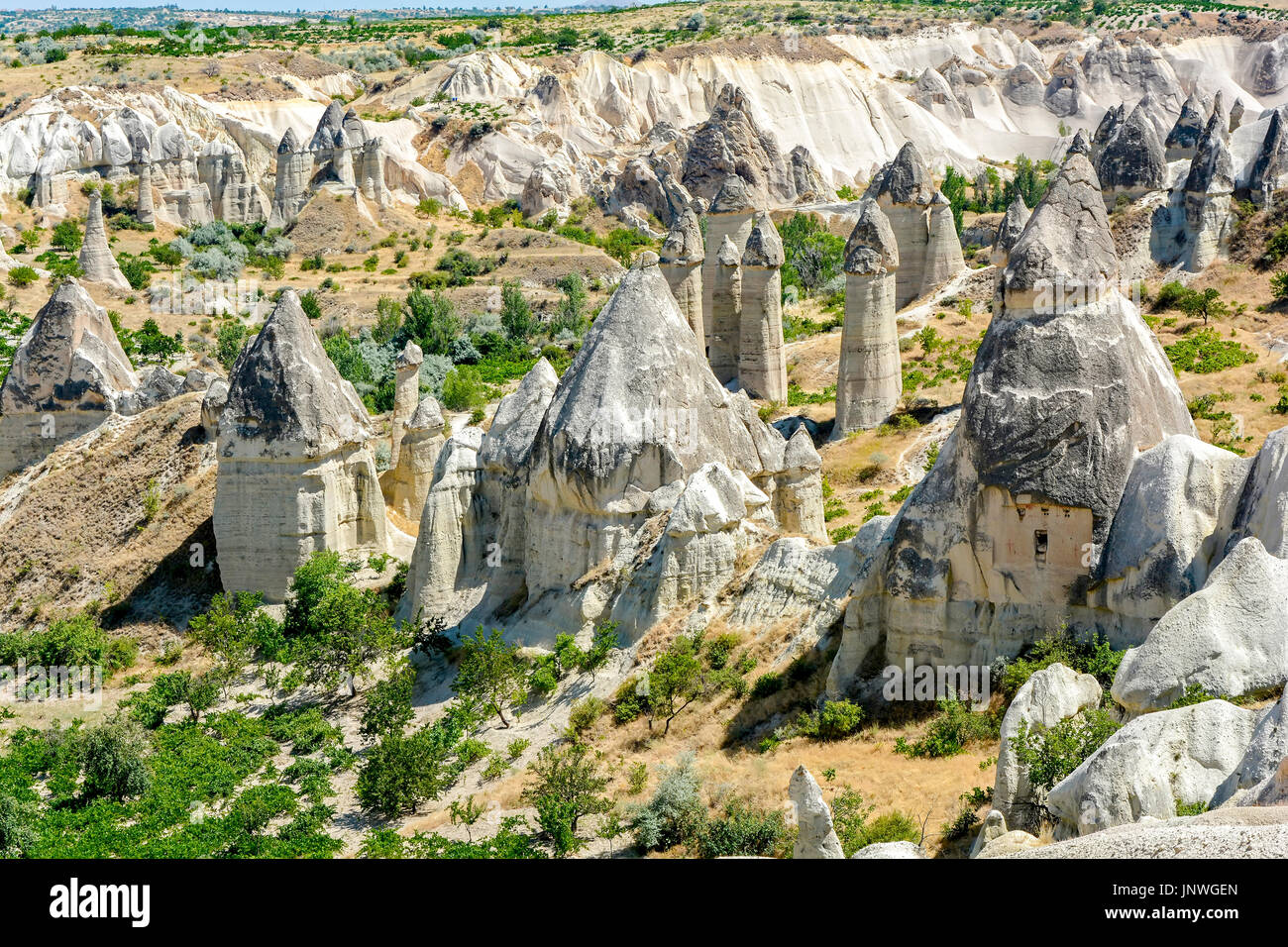 Berühmten geologischen Formationen als Liebe Tal bekannt und verwendet als Gehäuse in Göreme, Kappadokien, Türkei Stockfoto