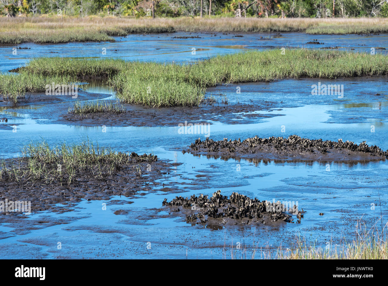 Gezeiten Marsh bei Flut Ansichten zu erhalten auf den Intracoastal Waterway in Atlantic Beach, Florida. (USA) Stockfoto
