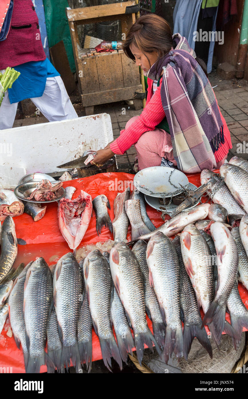 Frau verkaufen Fisch an der Seite der Straße, Shillong, Meghalaya, Indien Stockfoto