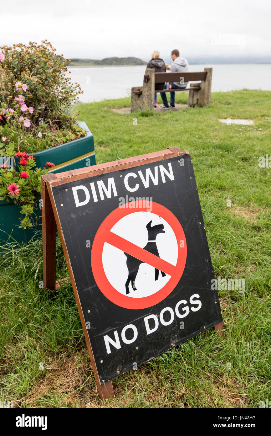 Melden Sie keine Hunde auf dem Rasen am Meer, Criccieth, Lleyn-Halbinsel, Wales, UK Stockfoto