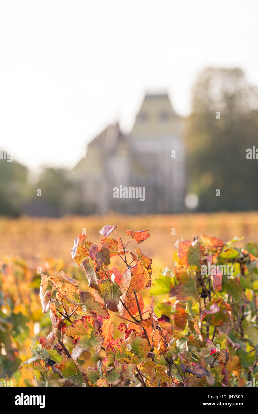 Aloxe Corton, Côte de Beaune, Burgund, Frankreich - 11. Oktober 2015: Château Corton-Andre in der Côte de Beaune und die umliegenden Weinberge im Herbst. Stockfoto