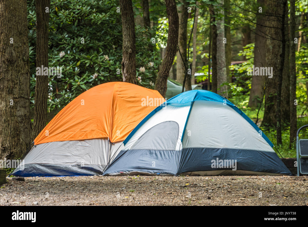Zelten auf dem bewaldeten Campingplatz am Vogel State Park in den Blue Ridge Mountains von Nordosten Georgia/USA. Stockfoto