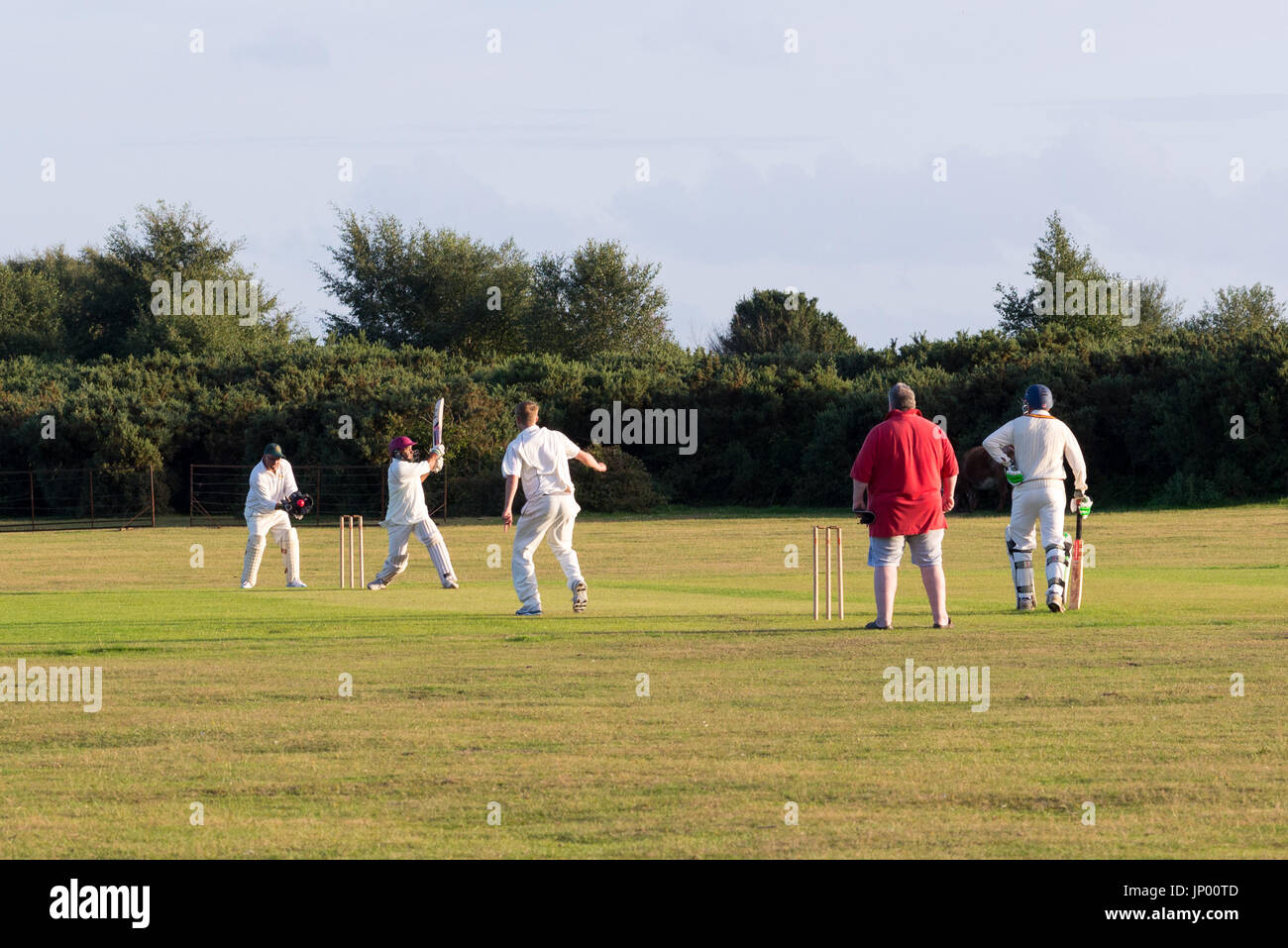 Dorfgrille in ländlicher Umgebung an einem Sommerabend, Godshill, New Forest, Hampshire, Großbritannien Stockfoto