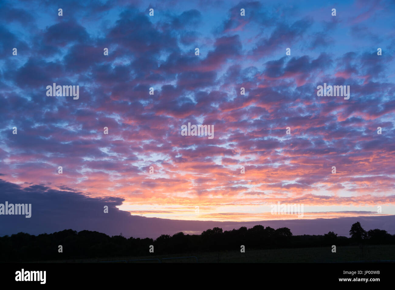 Violett- und orangefarbener gesprenkelter Himmel mit einem natürlichen Muster in Makrelenwolkenbildung bei Sonnenuntergang im Sommer Stockfoto