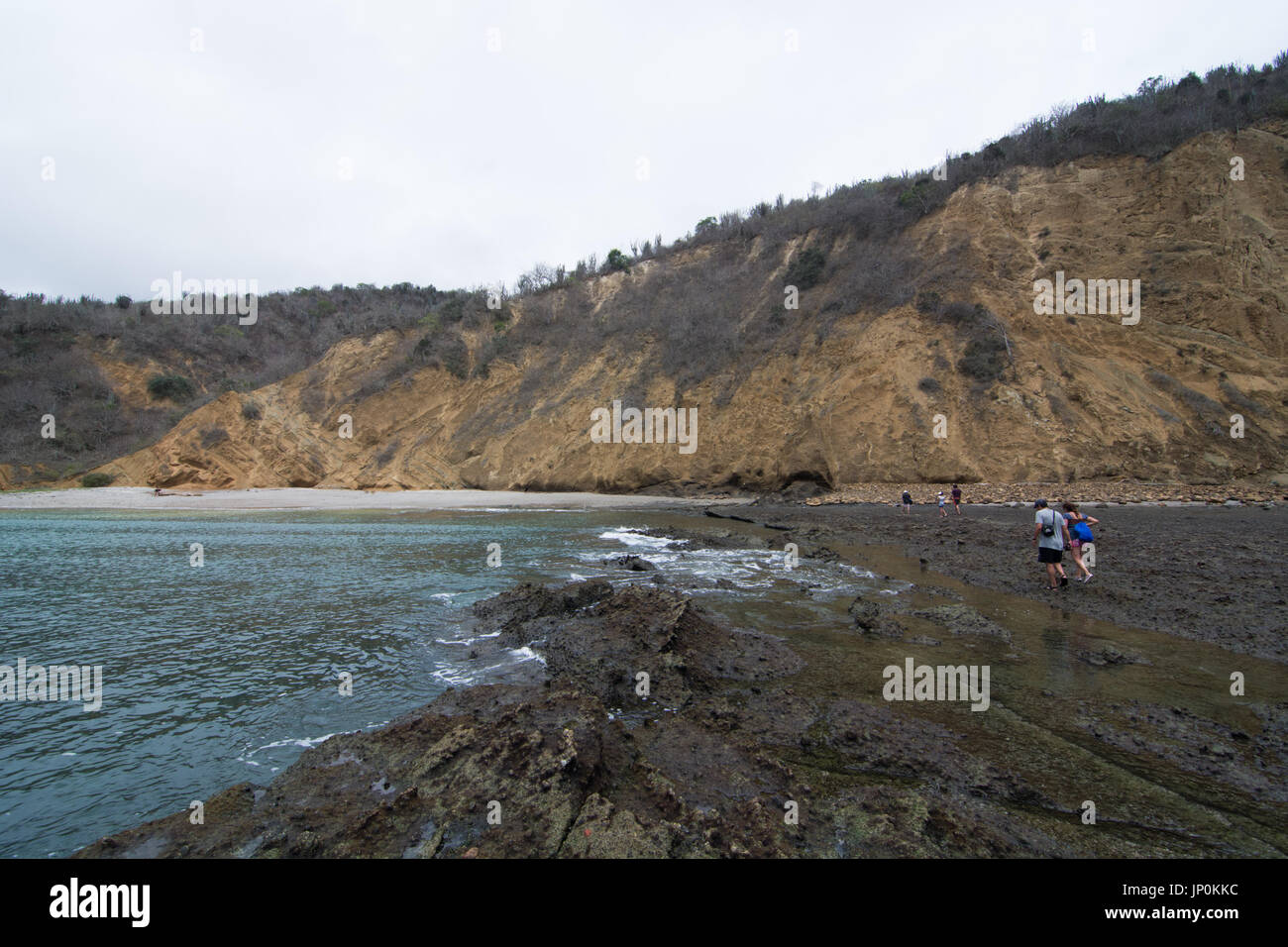 Strand Los Frailes, Machalilla Nationalpark in Ecuador. Stockfoto