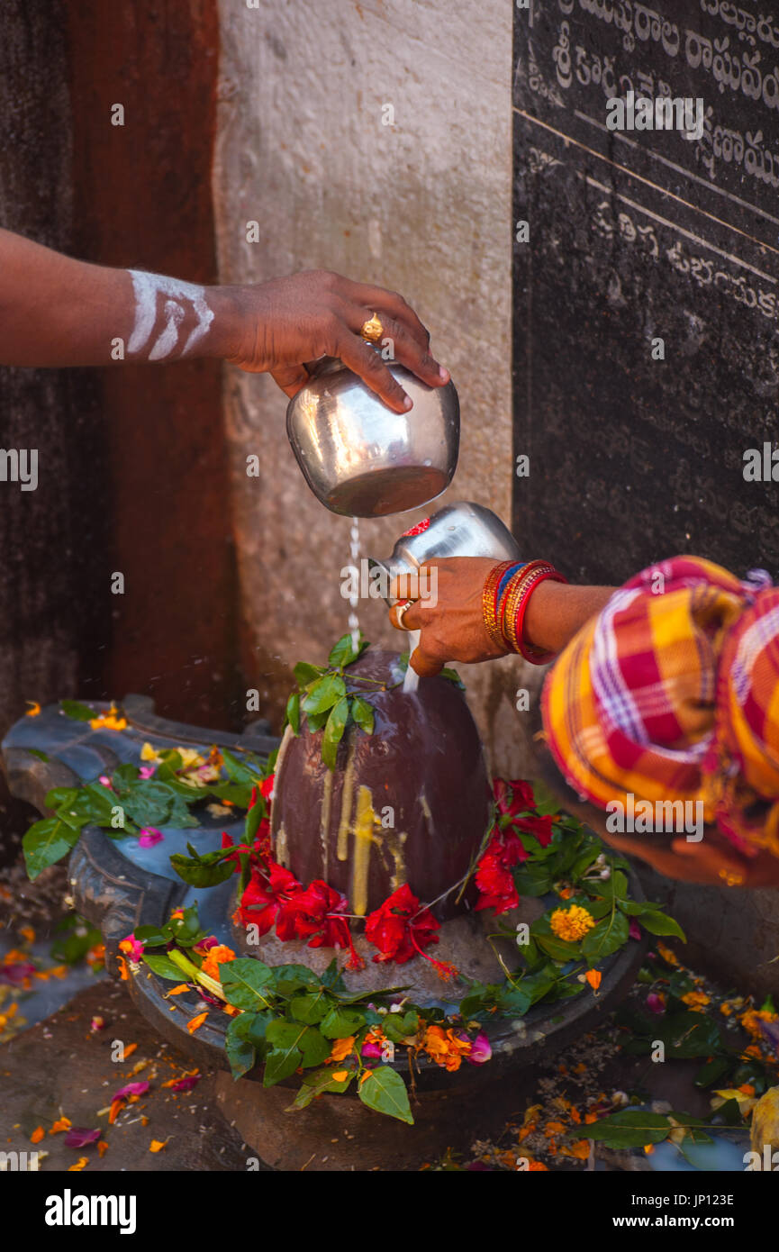 Ein Mann und eine Frau gießen Sie Milch auf einen Shiva Lingam in der Feier des Shivaratri Stockfoto