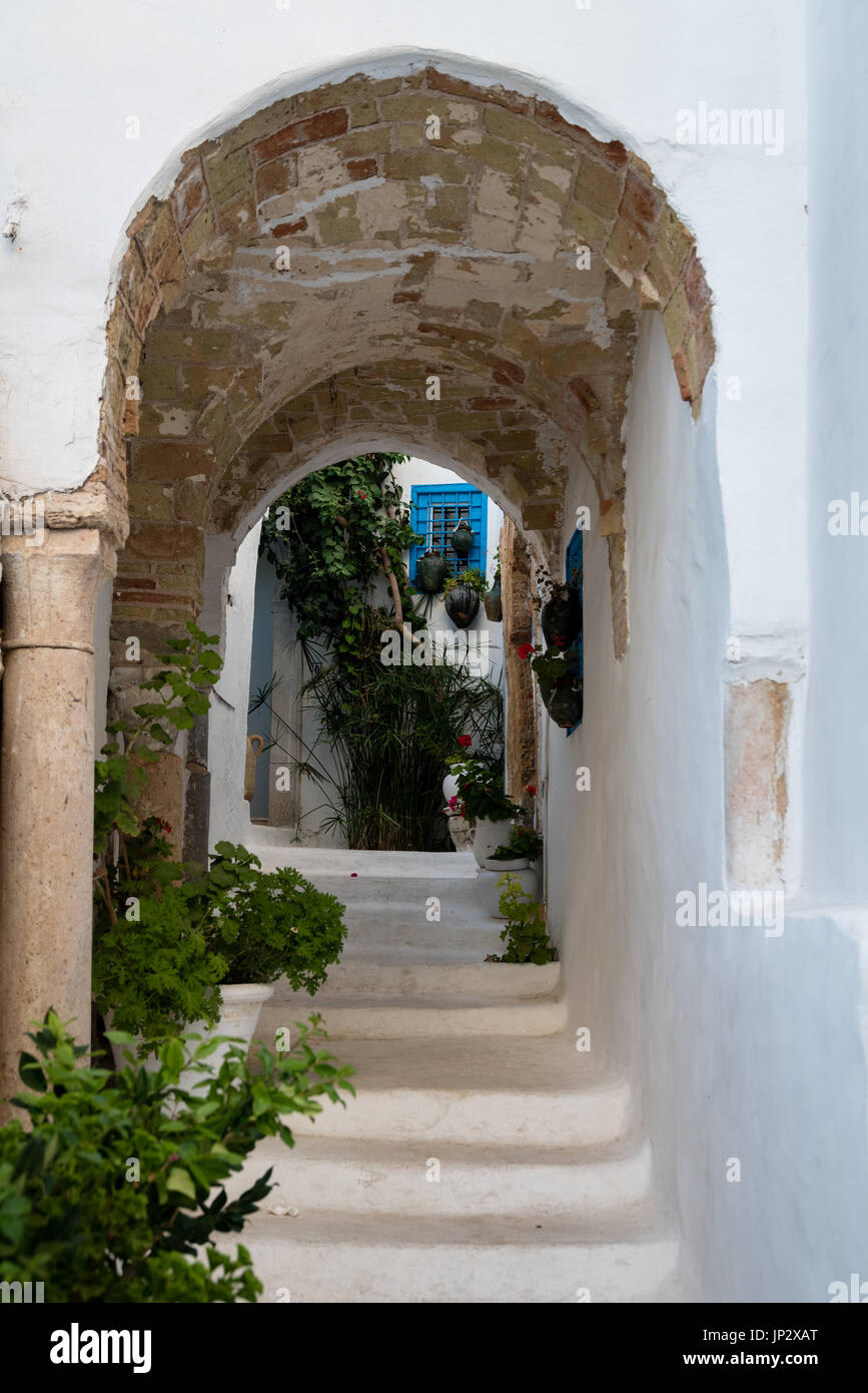 Eingang eines Hauses, Sidi Bou Said Stockfoto