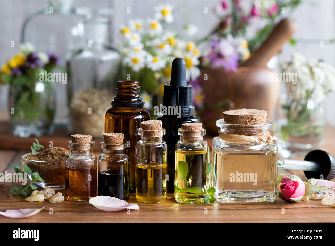 Auswahl von ätherischen Ölen mit verschiedenen Kräutern und Blumen im Hintergrund Stockfoto