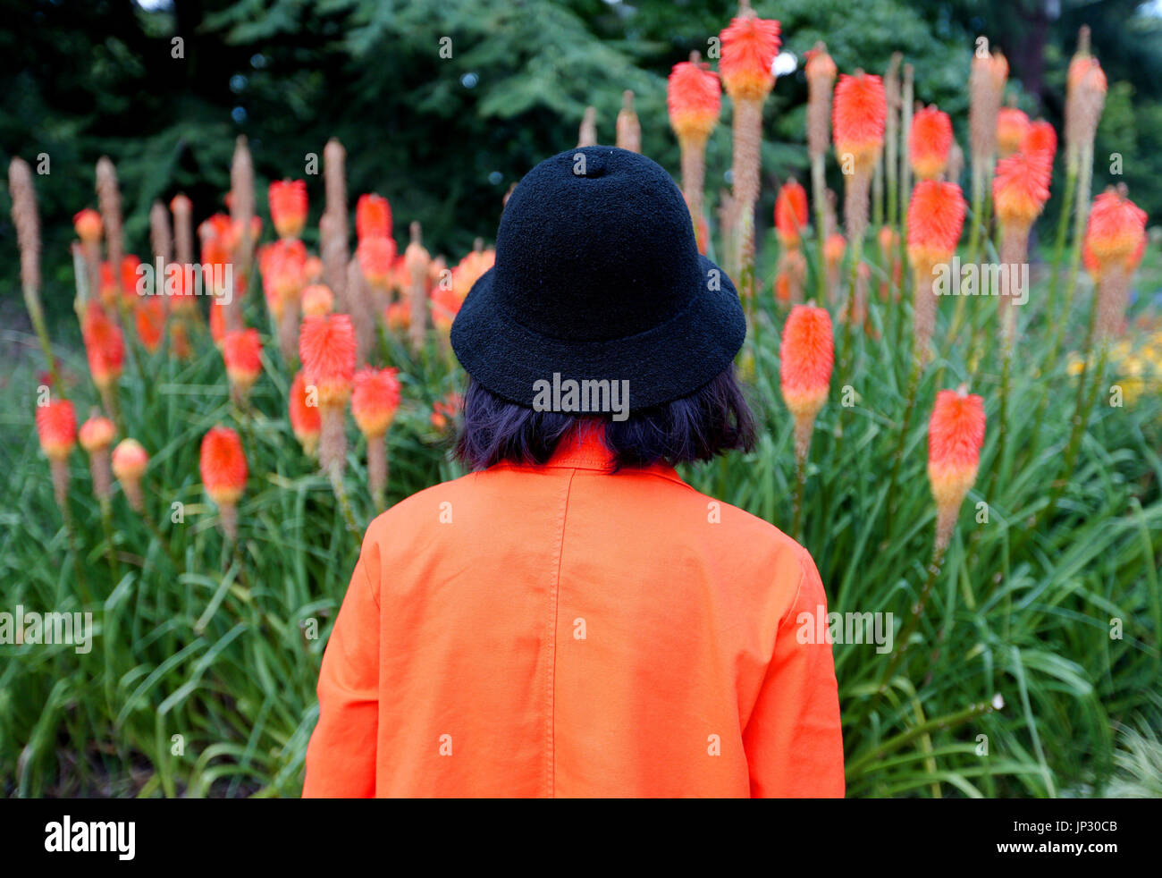 Besucher der Kew Gardens in West London schaut Kniphofia, auch bekannt als Red Hot Poker, gepflanzt an den breiten Fuß Grenzen. Stockfoto