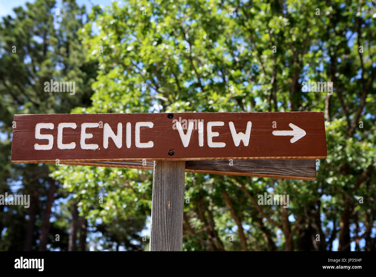  Download Vorschau speichern eine klare Holz "SCENIC VIEW" singen auf einem touristischen Wanderweg Stockfoto