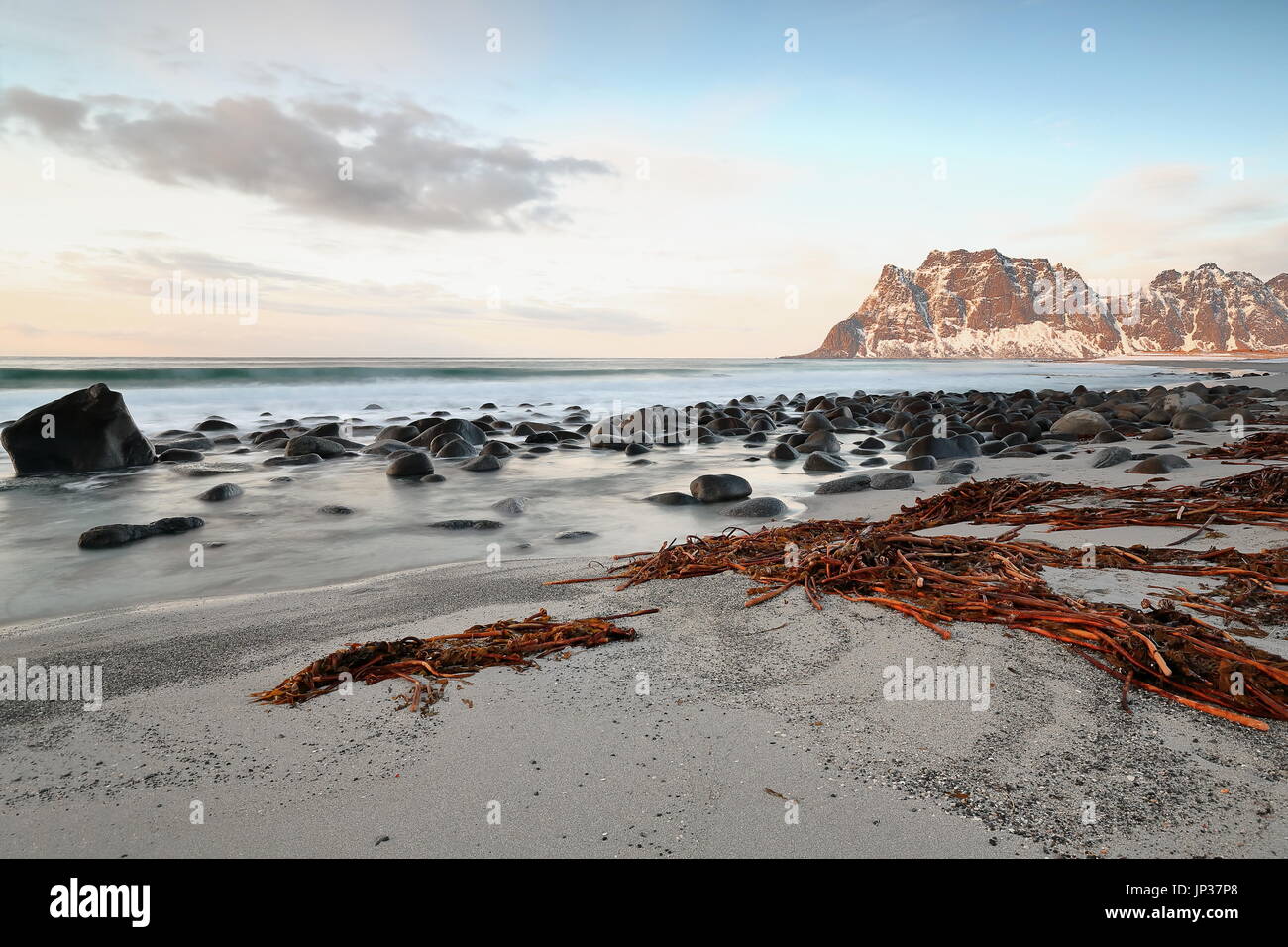 Utakleiv Beach-haltet Ansicht-Halterungen N.shore Steinsfjorden Futter: Medskolmen-Hogskolmen-Stirabben-Bjornskarryggan. Lange rote Algen auf t Stockfoto