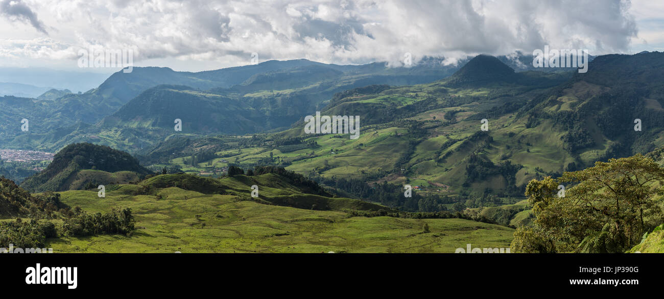 Die Entwaldung stellt eine ernsthafte Bedrohung für den Nebelwald der Anden dar. Kolumbien, Südamerika Stockfoto